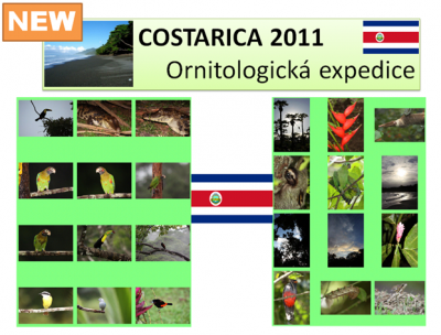 Costarica 2011